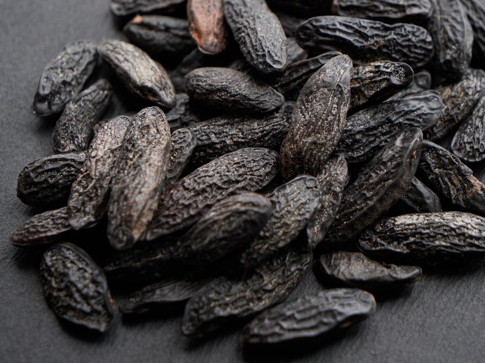 Fava Tonka: Il Profumo Esotico che Rivoluziona la Gastronomia e il Benessere